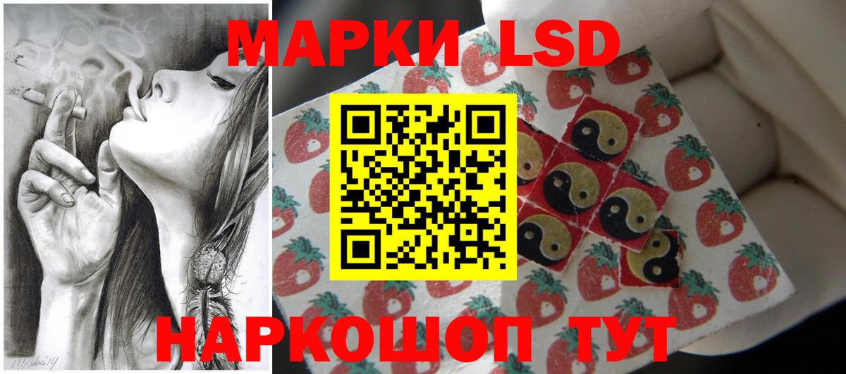 Заречный  LSD-25 экстази  Вход с VPN  Лсд 25 экстази кислота 