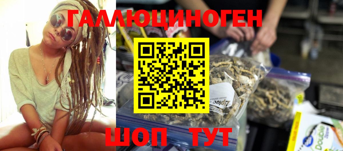 закладка  Вход с VPN  Псилоцибиновые грибы GOLDEN TEACHER  Заречный  Псилоцибиновые грибы мухоморы 