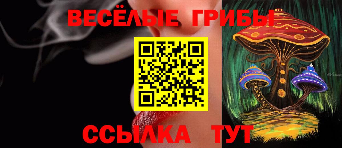 Галлюциногенные грибы мицелий Заречный